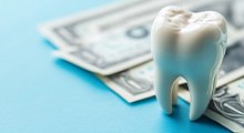 Large model tooth on blue surface next to dollar bills