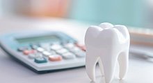 Large model tooth on desk next to calculator